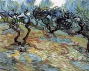 文森特 威廉 梵高 : 橄榄园